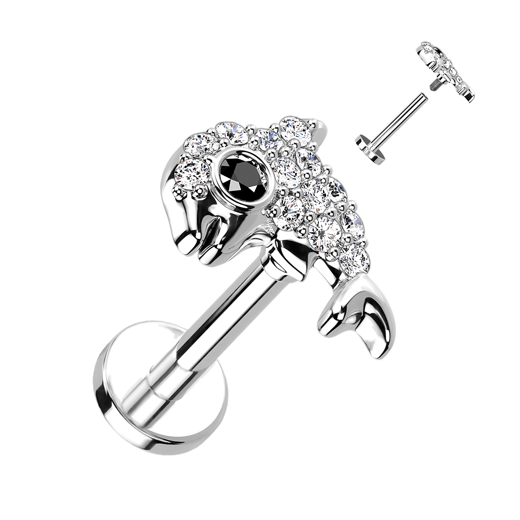 Piercing Labret
