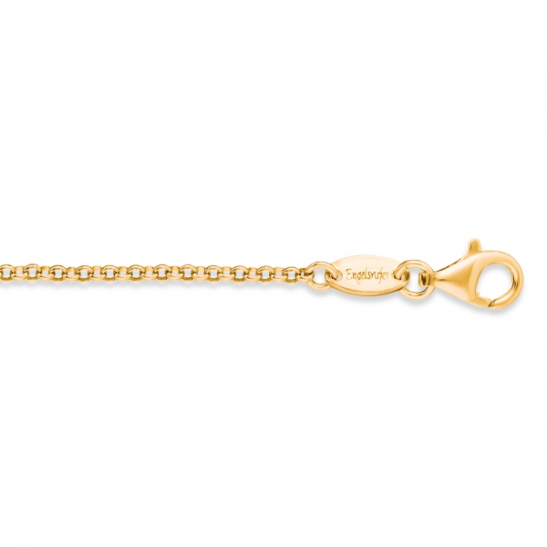 Pozlacený stříbrný řetízek ERN-45-G