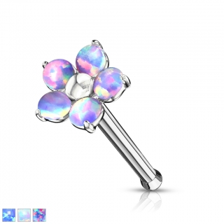 Piercing nosovka NOB-593